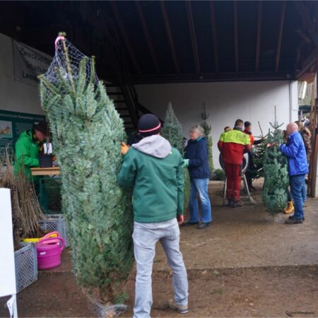Weihnachtsbaumverkauf im Lennebergwald